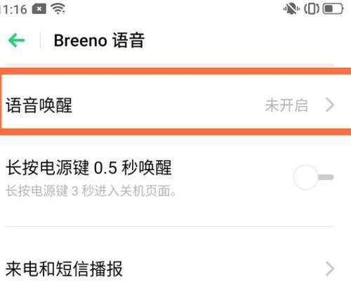 OPPO手机开发者选项在哪里？（如何找到OPPO手机的开发者选项）