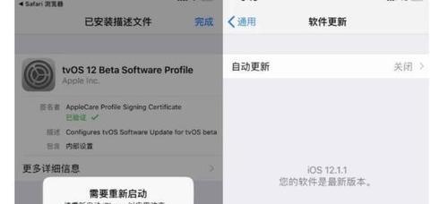 解决文件失效问题的有效方法（如何有效应对文件失效问题）