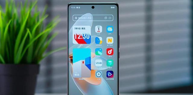 小米12与vivoX70选购指南（了解关键差异，找到适合自己的智能手机）