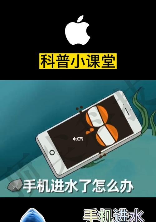iPhone手机进水后的抢救教程（解决iPhone进水问题的方法与技巧）