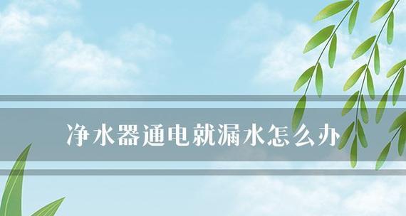 净水器管漏水的原因及解决方法（保护家庭饮水安全）