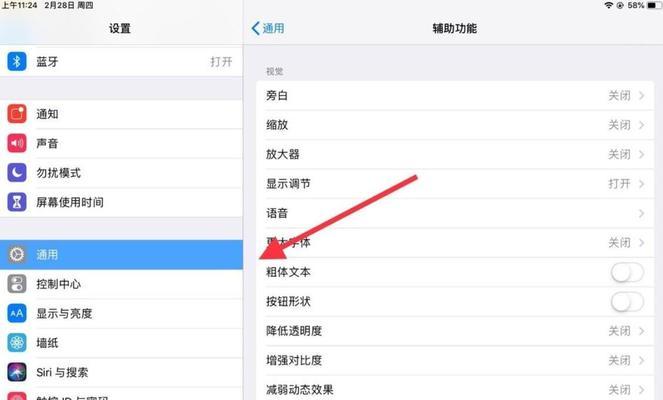 清理苹果iPad垃圾和缓存的方法（优化iPad性能）