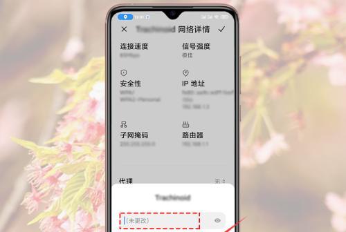 如何使用手机修改自家WiFi密码（简单易懂的教程帮助你更换WiFi密码）