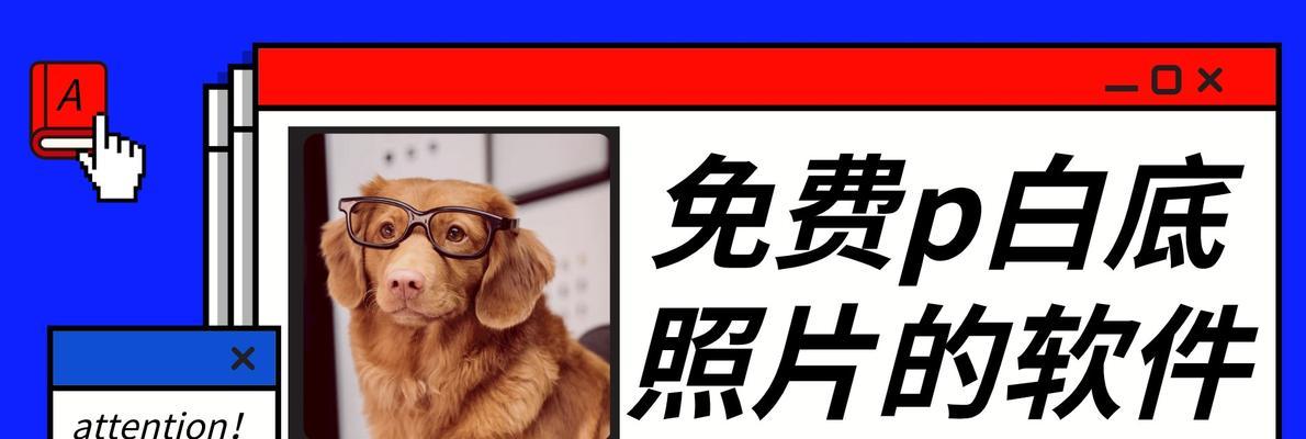 探究照片白底软件推荐（打造无与伦比的纯净照片效果）