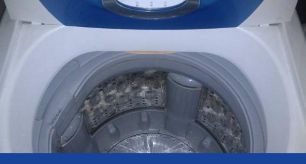 荆州洗衣机清洗的正确方法（保护洗衣机）