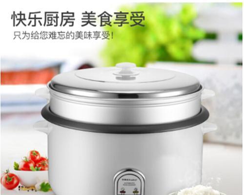 老式电饭煲灯全亮问题解决方法（探讨老式电饭煲灯全亮问题的原因和解决方案）