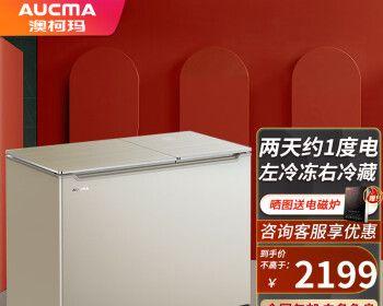 冰箱冰冻清洗指南（轻松清洁冰箱冰冻室）