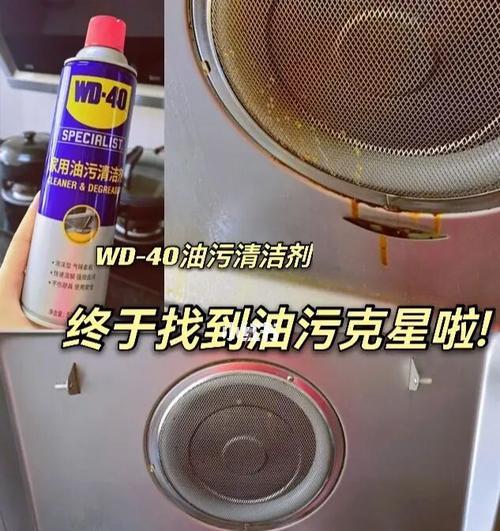 如何清洗吸油烟机内的油渍（轻松清洁）