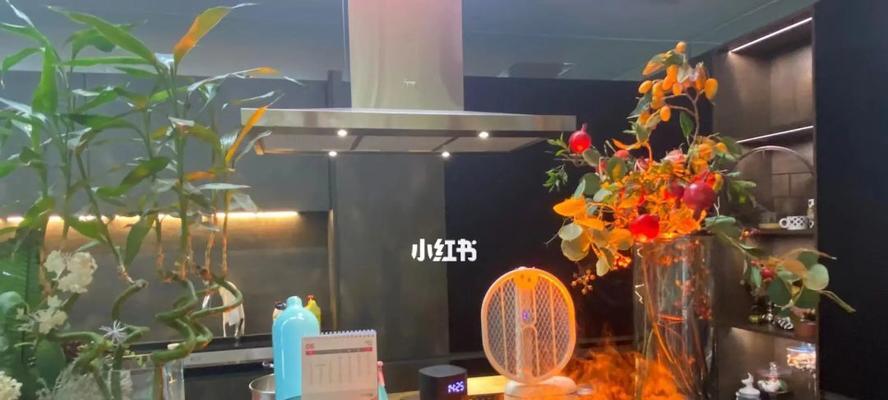 如何正确清洗以德格油烟机（打造一个清洁健康的厨房环境）
