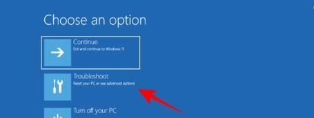 Win11安装教程（详解Win11安装步骤）
