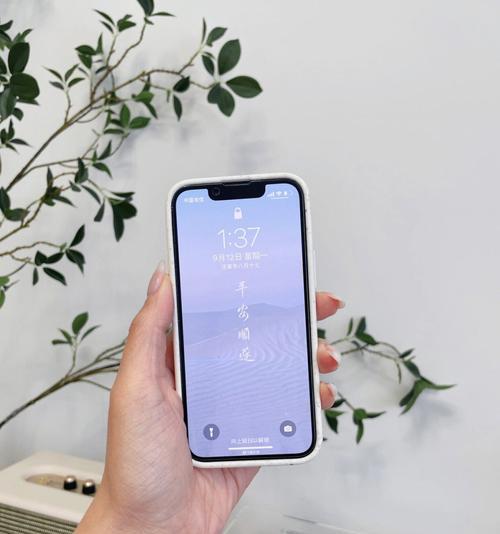 iPhone13mini（体验无缝切换）