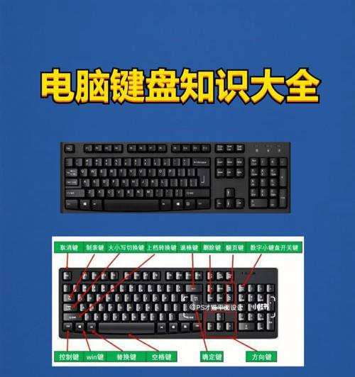 电脑截图快捷键使用指南（掌握电脑截图技巧）