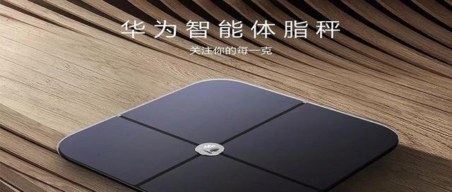 如何准确测量体脂率（掌握科学的体脂率测量方法）
