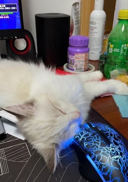 以猫上的LOS闪红灯的处理小妙招（解决猫上LOS闪红灯问题的实用方法）