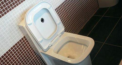 抽水马桶堵了怎么办？抽水马桶堵塞原因有哪些？