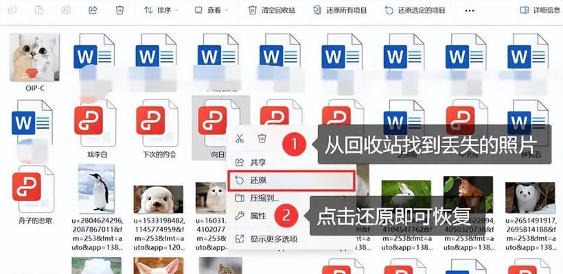 被删除的软件还能恢复吗？恢复步骤是什么？