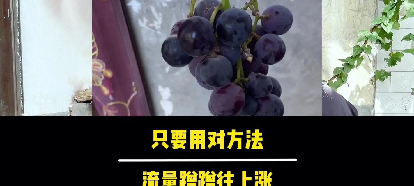 爱娟快手刷双击小助手下载安全吗？有效提升互动是真的吗？
