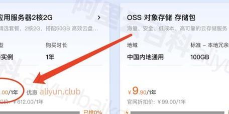 租用服务器一年费用多少？如何避免昂贵的租用错误？