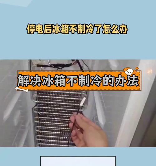 冰箱不制冷是什么原因？如何快速解决？