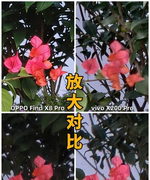 如何用iPhone拍出背景虚化照片？后期处理技巧是什么？