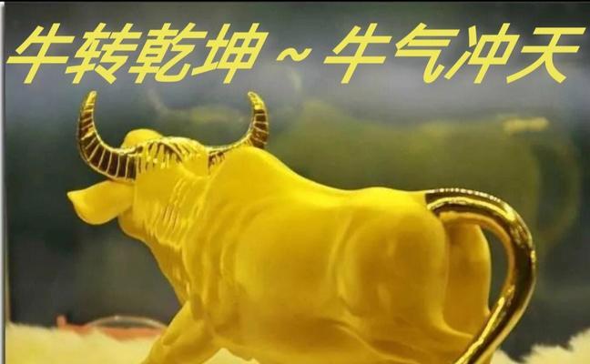 畅享千兆双频就是这么牛？如何实现无线网络的极致体验？