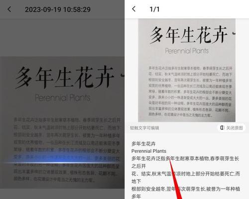 几招教你快速解决电脑卡顿问题？如何提升电脑运行速度？
