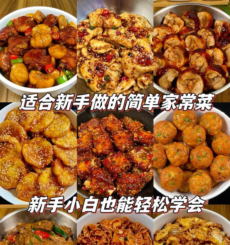 新手小白如何操作？简单步骤和常见问题解答？