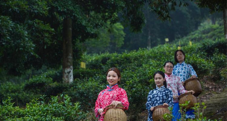 如何快速擦亮镜头？两个简单方法轻松搞定！