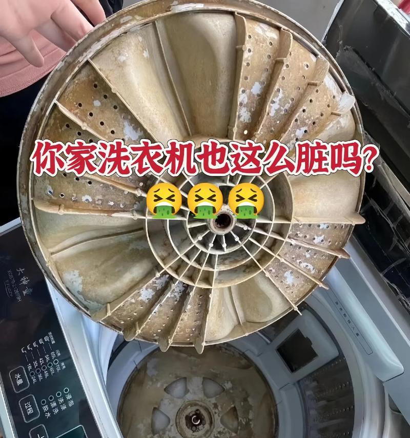 如何轻松清洗洗衣机？3个简单步骤大揭秘？