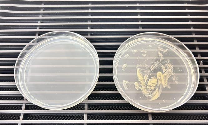 如何选择最佳空气净化器？6款热门产品对比评测结果是什么？