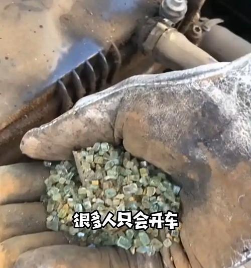 入门知识你一定要知道？如何快速掌握基础要点？