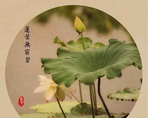 每一种都特别简单？如何快速掌握这些简单技巧？