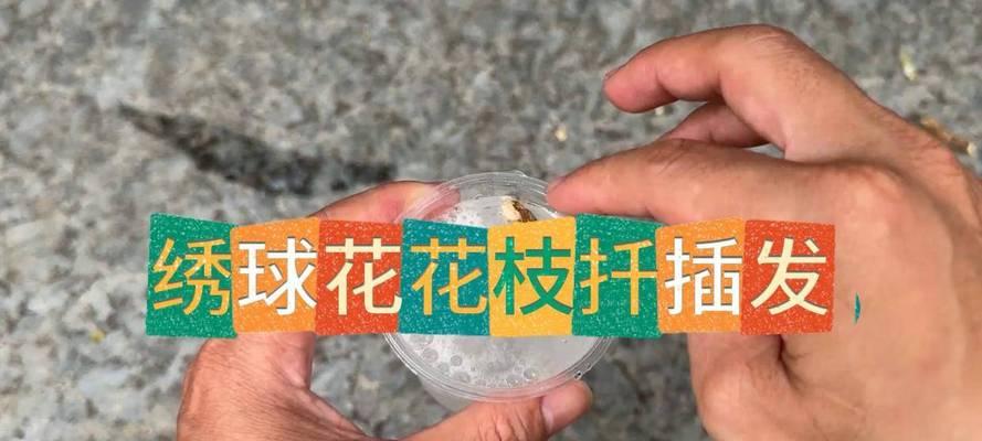 新手小白如何简单操作？简单操作指南有哪些常见问题解答？