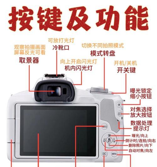 新手小白如何快速掌握SEO技巧？常见问题有哪些解决方法？