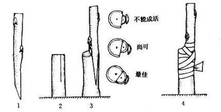 最全的解决办法是什么？如何应对各种常见问题？