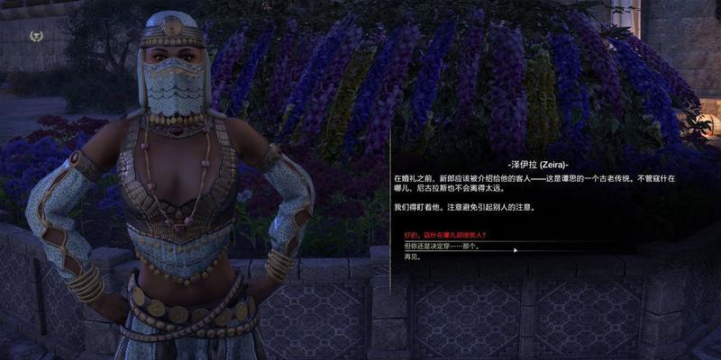 上古卷轴5盗贼公会背景是什么？如何加入盗贼公会？