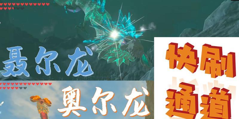 塞尔达奥尔龙的鳞片怎么获得？获取方法和用途是什么？