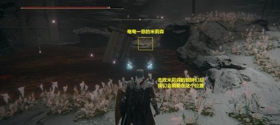 诺亚之心纸短情长任务怎么做？详细步骤和技巧是什么？