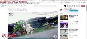 斗鱼一个飞机多少钱？购买流程和注意事项是什么？