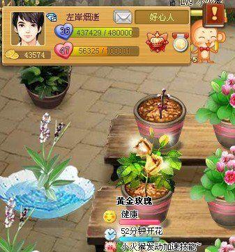 QQ玫瑰小镇天赋宝宝怎么获得？如何培养最有效？