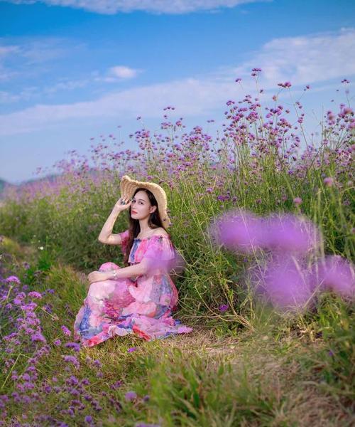 手机拍照时如何设置花海旋转效果？步骤是什么？