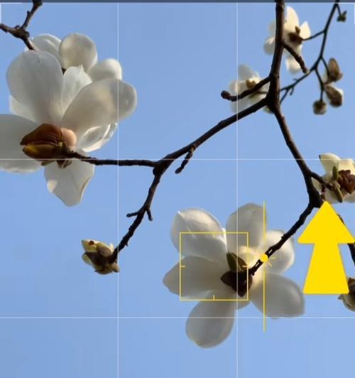 玉花美颜相机如何使用？手机拍照美颜技巧有哪些？