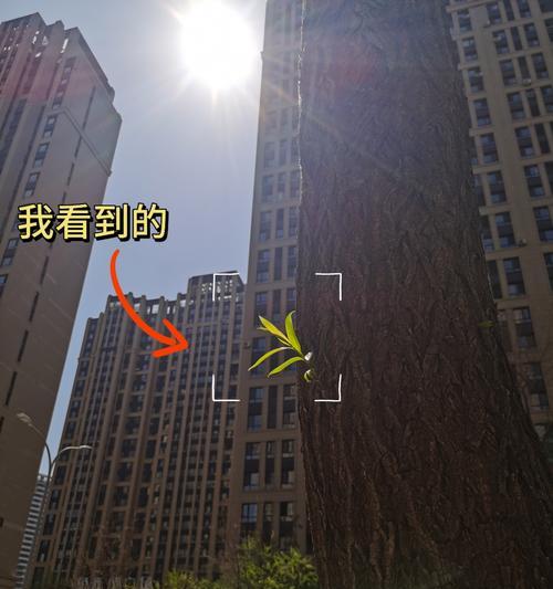 手机空中拍摄效果如何？