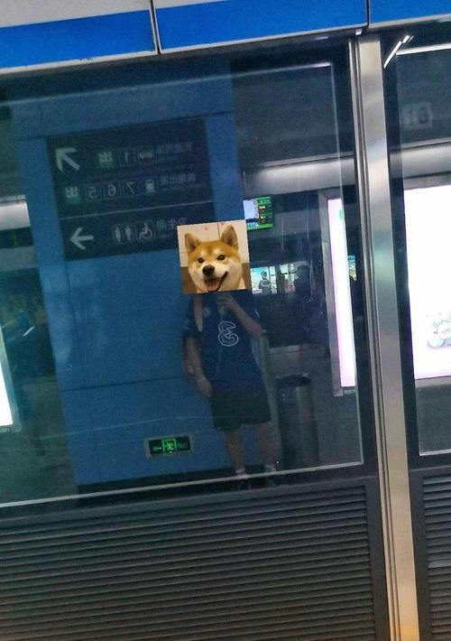 手机拍照时如何使用看比赛摄影机？