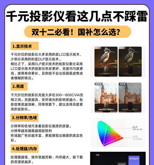灰晶屏幕适合哪种投影仪？选购时应注意什么？