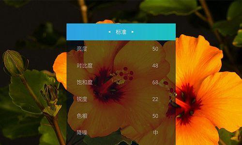 投影仪怎么调整比例？如何获得最佳显示效果？