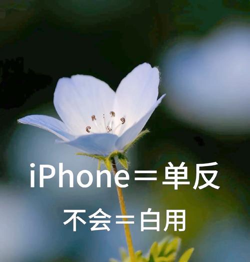 拍照手拿苹果手机图片怎么设置？有哪些技巧？