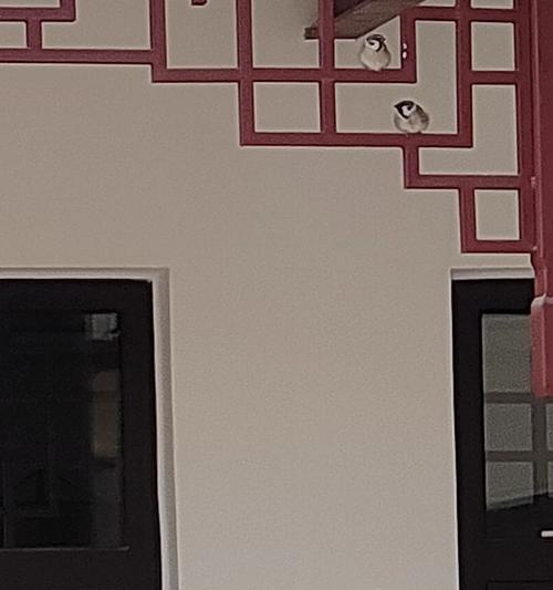 手机在楼顶无人时自动拍照的原因是什么？