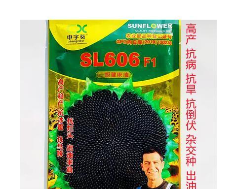 瓜子电脑直播无声如何排查？