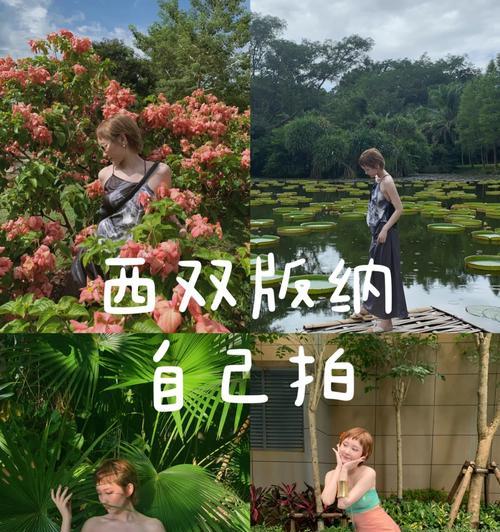 手机如何分开拍照上传图片？